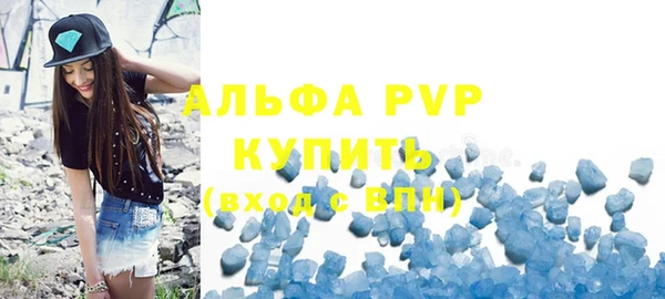 винт Лагань
