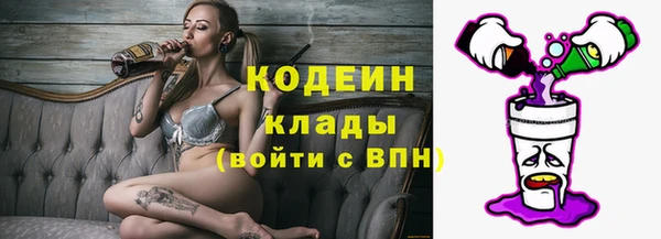 винт Лагань