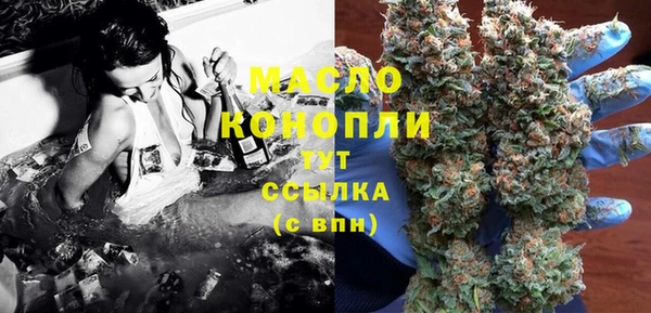винт Лагань