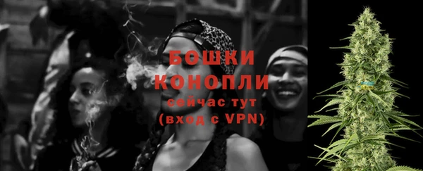 винт Лагань