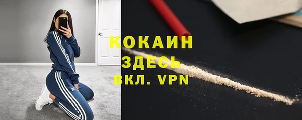 винт Лагань