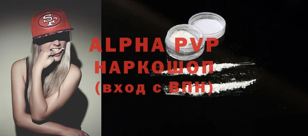 винт Лагань