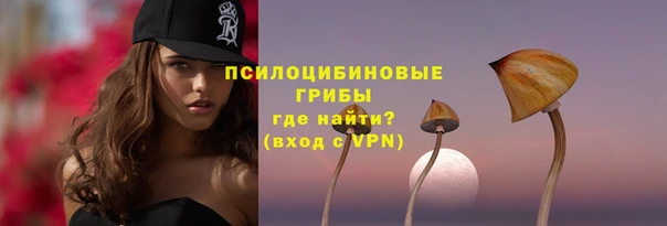 винт Лагань