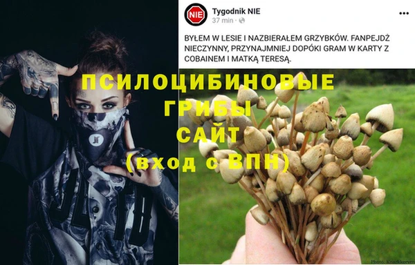 винт Лагань