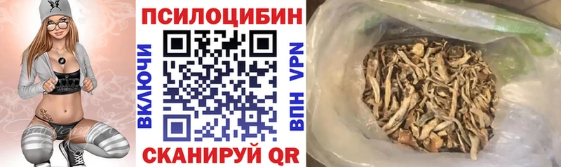 Купить где  Подпорожье  Галлюциногенные грибы Psilocybine cubensis 